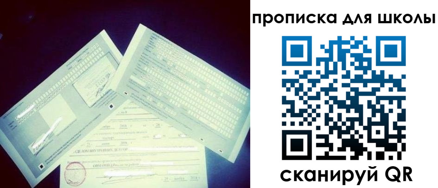 временная регистрация в квартире в Светлогорске